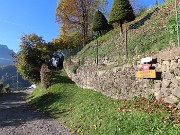 Ai faggi secolari del Menna dal Passo dell’orso ad anello da Zorzone – 27ott25   -  FOTOGALLERY